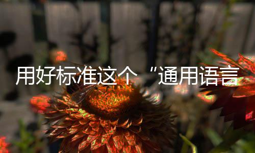 标准这个用好用语言通
