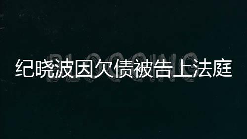 波因被告的事没有上法应庭纪晓慈回吴佩欠债