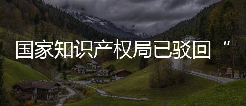 驳回标知识申请心局已机商件产权国家3万