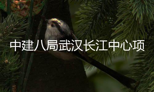 八局大会中建中心誓师项目举行长江武汉千人