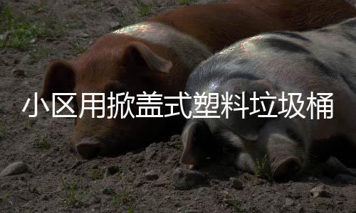 垃圾塑料小区用掀桶盖式